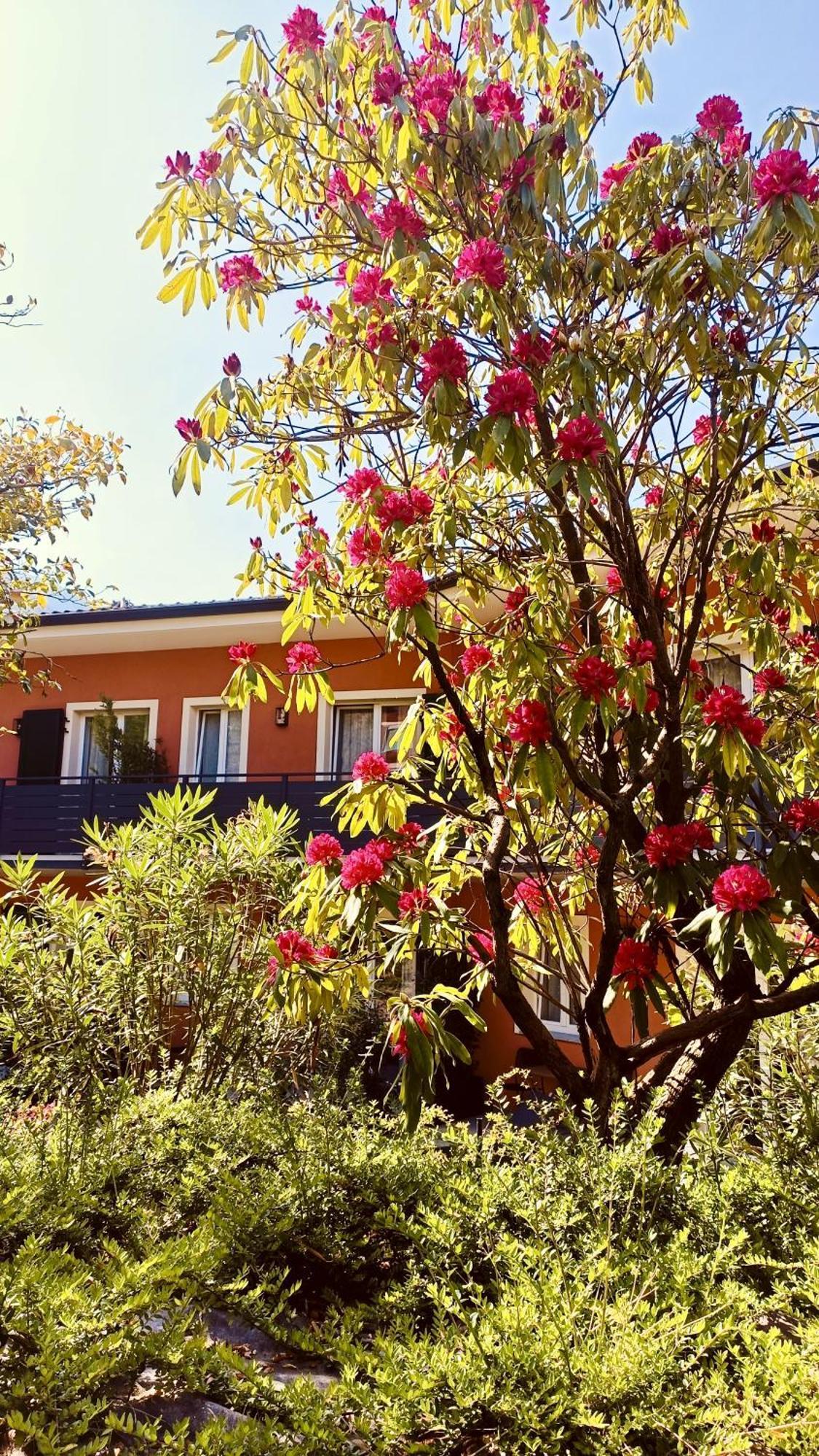 Hotel Villa Cuserina Cannobio Zewnętrze zdjęcie