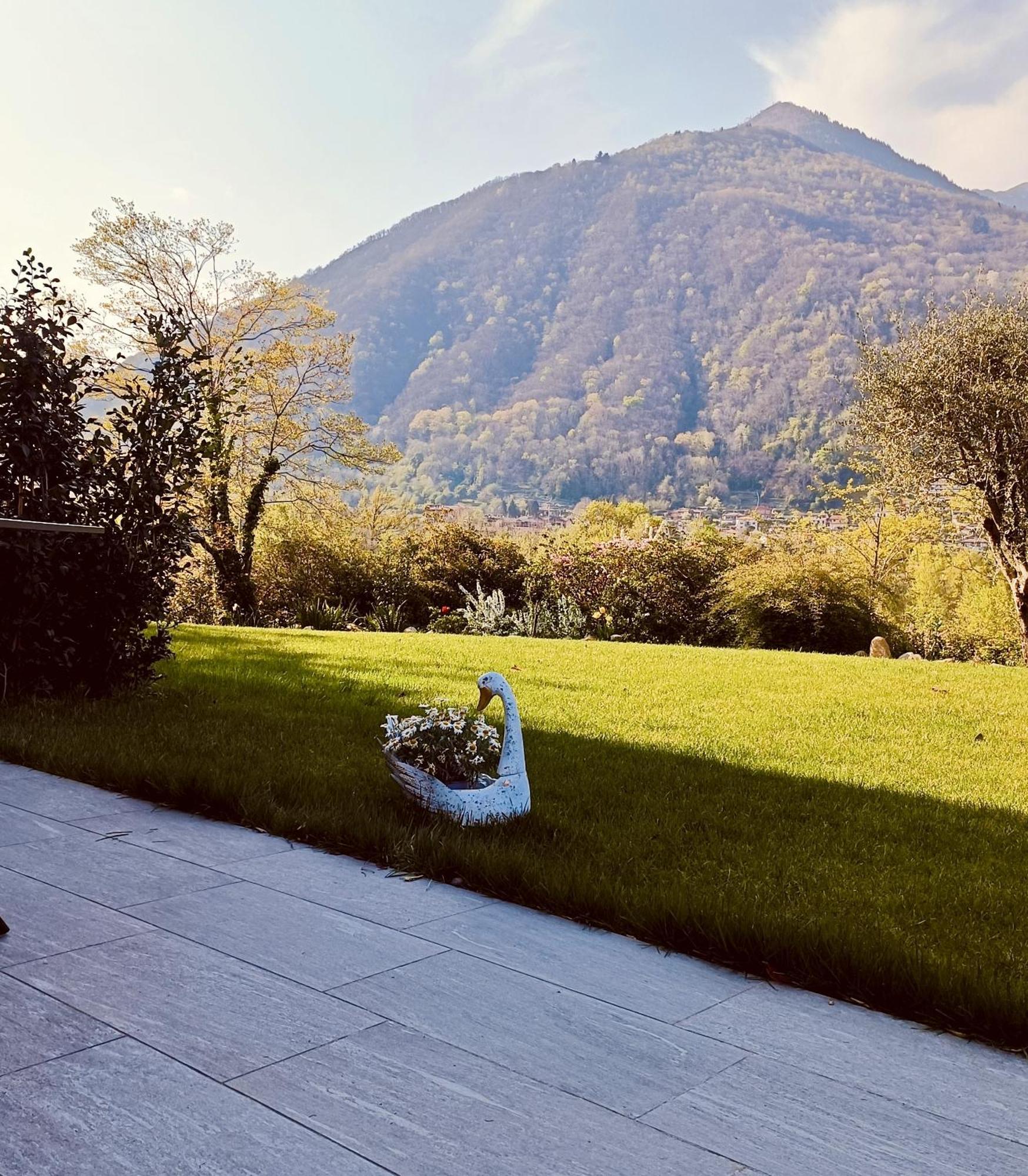 Hotel Villa Cuserina Cannobio Zewnętrze zdjęcie